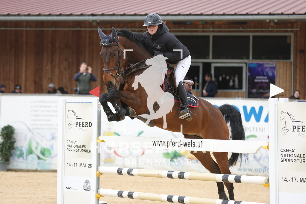 0P6A2836 | Willkommen bei Brunnmayr - Design & Fotografie – Ihrem Spezialisten für Reitturniere und Pferdeveranstaltungen in Oberösterreich, Salzburg und Bayern! Seit über 17 Jahren sind wir leidenschaftlich dabei.