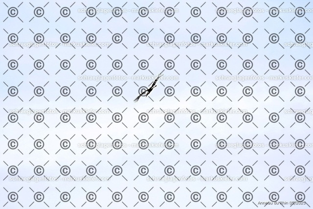 25bt02-0334 | markuskiefer.com - Realisiert mit Pictrs.com