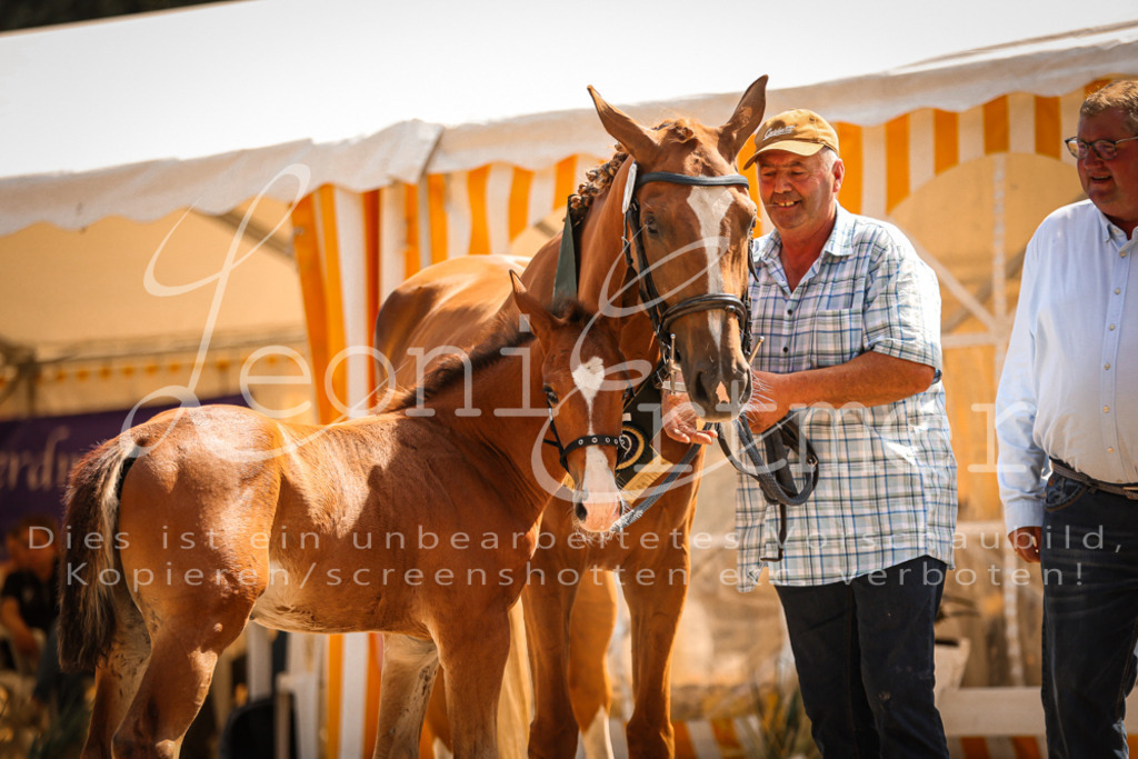 07.DoWBS00137 | Leoni Ertmer Photography - Realisiert mit Pictrs.com