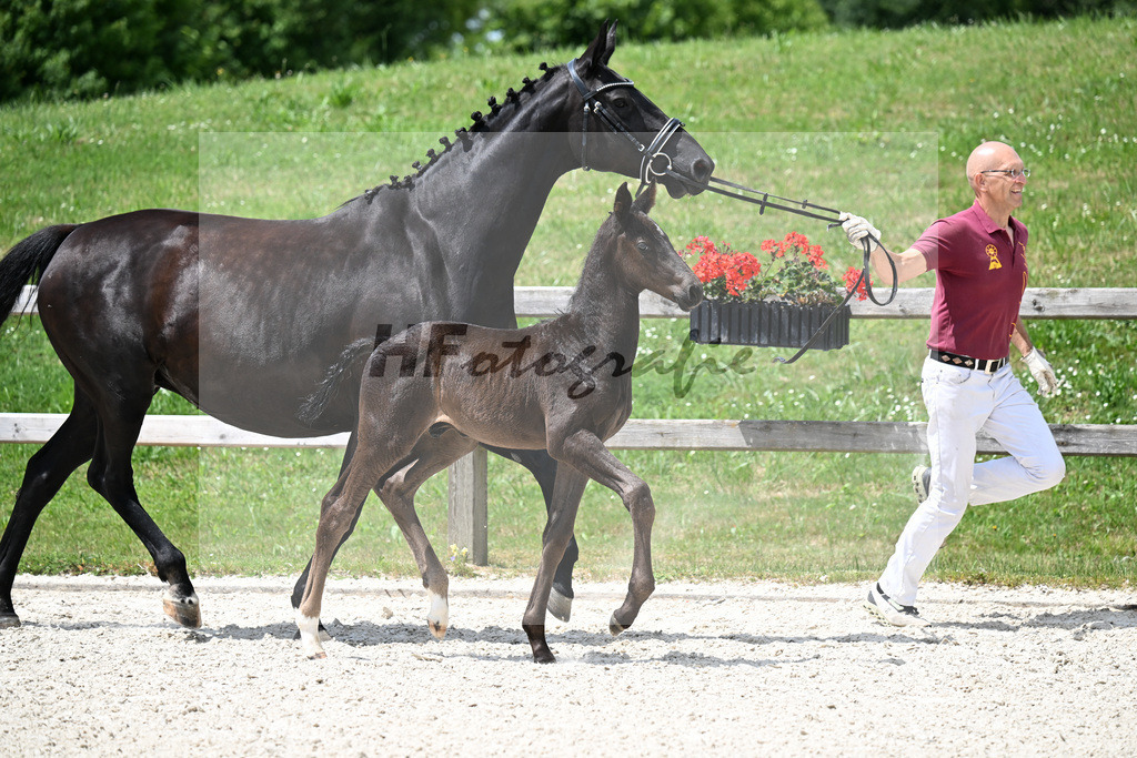 Kat-Nr. 29 Ironman Black M x De Niro_HF_Lechl_15250418 | hf-fotografie - Realisiert mit Pictrs.com