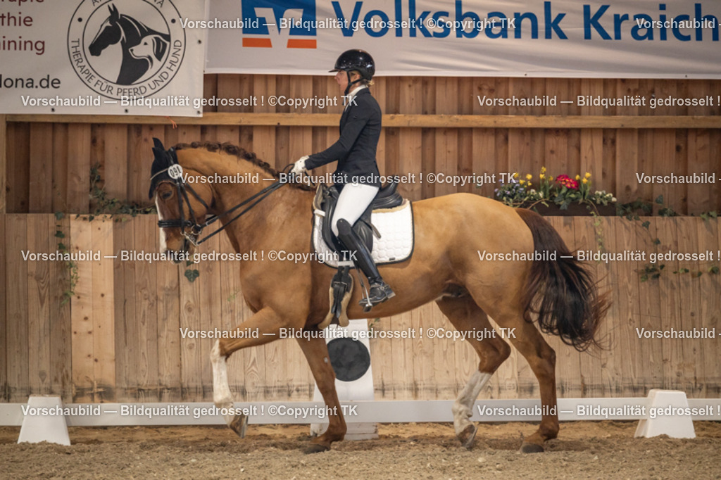 _D5A9191 | Emotionale Pferde- & People-Fotografie rund um Heidelberg, Leimen & Umgebung. Natürliche Fotos von Pferd, Mensch & Familie. Jetzt Termin sichern!