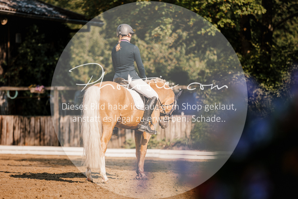 3I6A8734 | Stimmungsvolle Portraits und Reitsportfotografie im Ruhrgebiet und im Münsterland.

Pferdefotografie, Hundefotografie, Tierfotografie, Reportagen, Portraits von Tier und Mensch, Turnierfotografie in Bochum, Recklinghausen, Marl, Haltern am See, Dülmen.. - Realisiert mit Pictrs.com