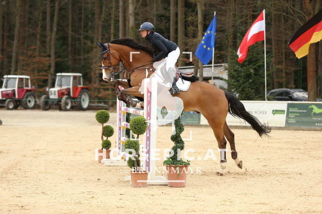 DL2Q5774 | Willkommen bei Brunnmayr - Design & Fotografie – Ihrem Spezialisten für Reitturniere und Pferdeveranstaltungen in Oberösterreich, Salzburg und Bayern! Seit über 17 Jahren sind wir leidenschaftlich dabei.