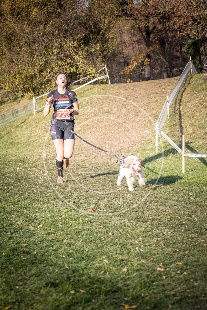 CaniXpix_0L8A9764 | Hundefotografie, Tierfotograf, Pfotenfotografie, Fotoshooting Hund, Hunde Portrait, Hundesport, Hundeportraits, Heideshooting, Hunde, Sportfotograf, Hundefotograf, Turnierhundsport, THS,  - Realisiert mit Pictrs.com