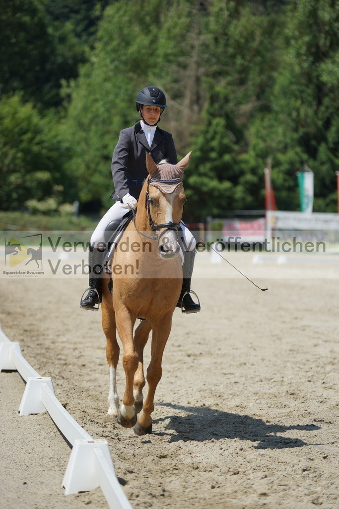 DSC01700 | equestrian-live-com