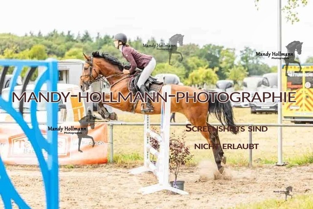 26-8-7 SPR A++-500 | mandyhollmannphotographie