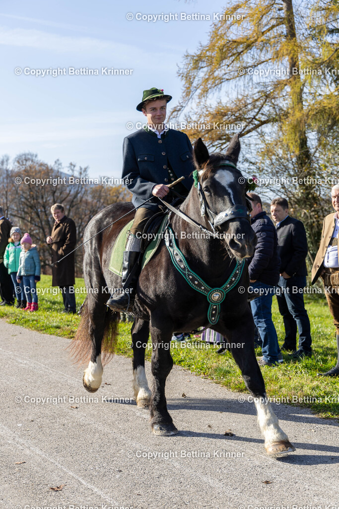 LBT24-1165 | foto-bettina-krinner - Realisiert mit Pictrs.com