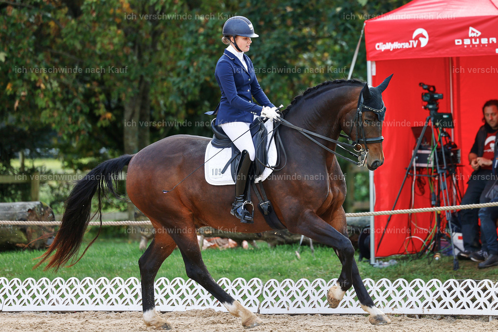 05-109-DRESSUR M_  -StoibPH-4925 | working equitationturnier fotograf videograf stoibphotography marixx film working equitation deutschland reitsport turnierfotografie eventfotografie equestrian events