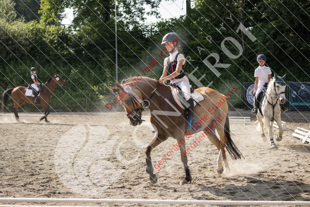 IMG_6128 | Sport-, Event- und Tierfotos in Profiqualität. Einfach auswählen, bestellen und herunterladen. Dein Moment – perfekt festgehalten.