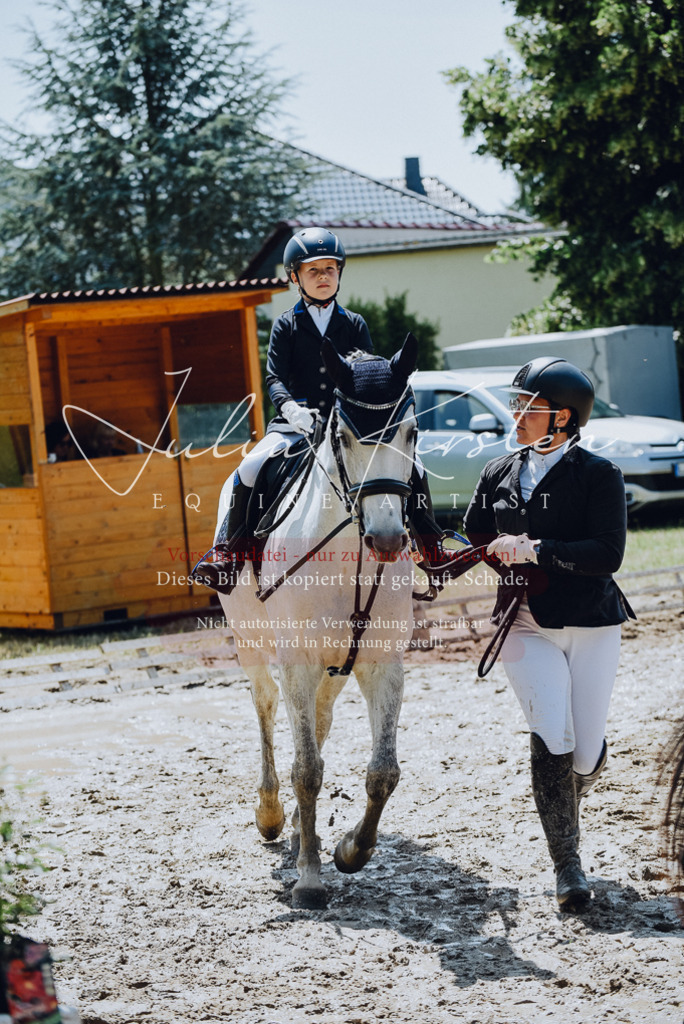 DSC_2263 | Pferde- und Turnierfotografie in Westsachsen. Pferdeportraits, Auftragszeichnungen und intuitive Kunst.