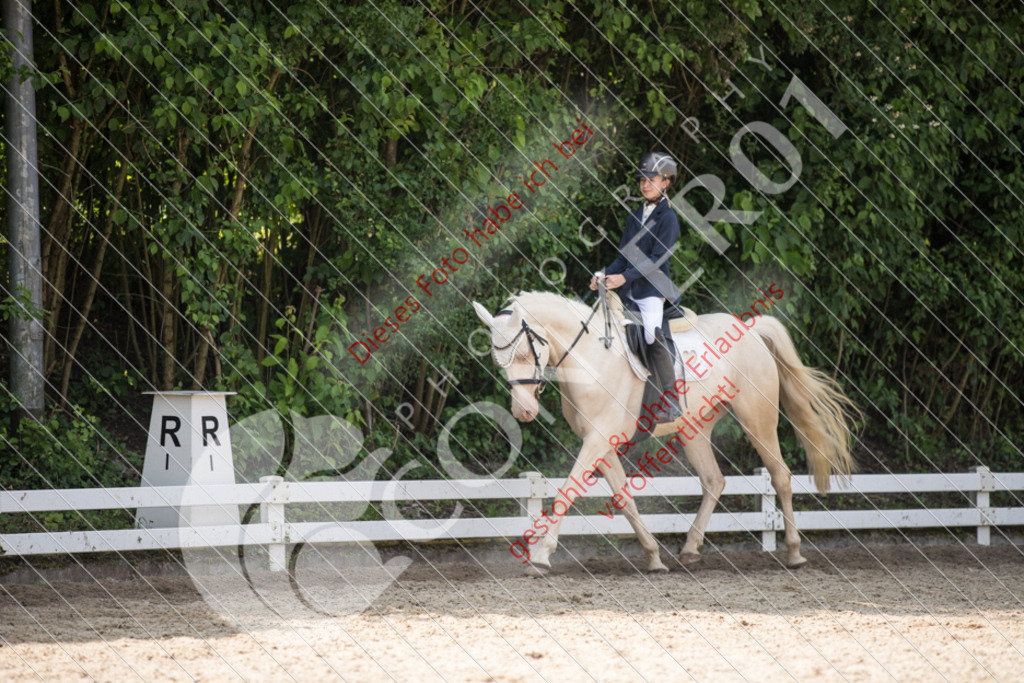 IMG_3766 | Sport-, Event- und Tierfotos in Profiqualität. Einfach auswählen, bestellen und herunterladen. Dein Moment – perfekt festgehalten.