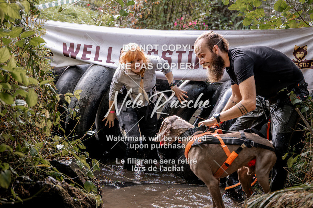 nelerasche_Hunsrück2026_Sa1400-1500_294 | nelerasche