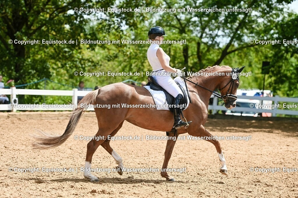 20230716_03_Dressurprfg. Kl.L - Tr._0471 | equistock