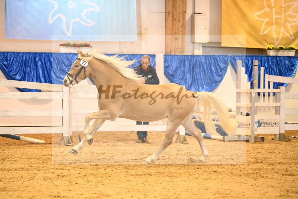 Kat-Nr. 27 nn v. Steingold_Stecher_60220422 | hf-fotografie - Realisiert mit Pictrs.com