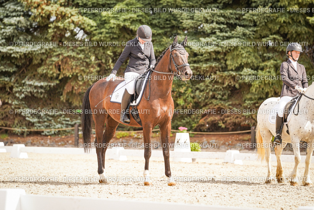 DSC01509 | Pferdegrafie