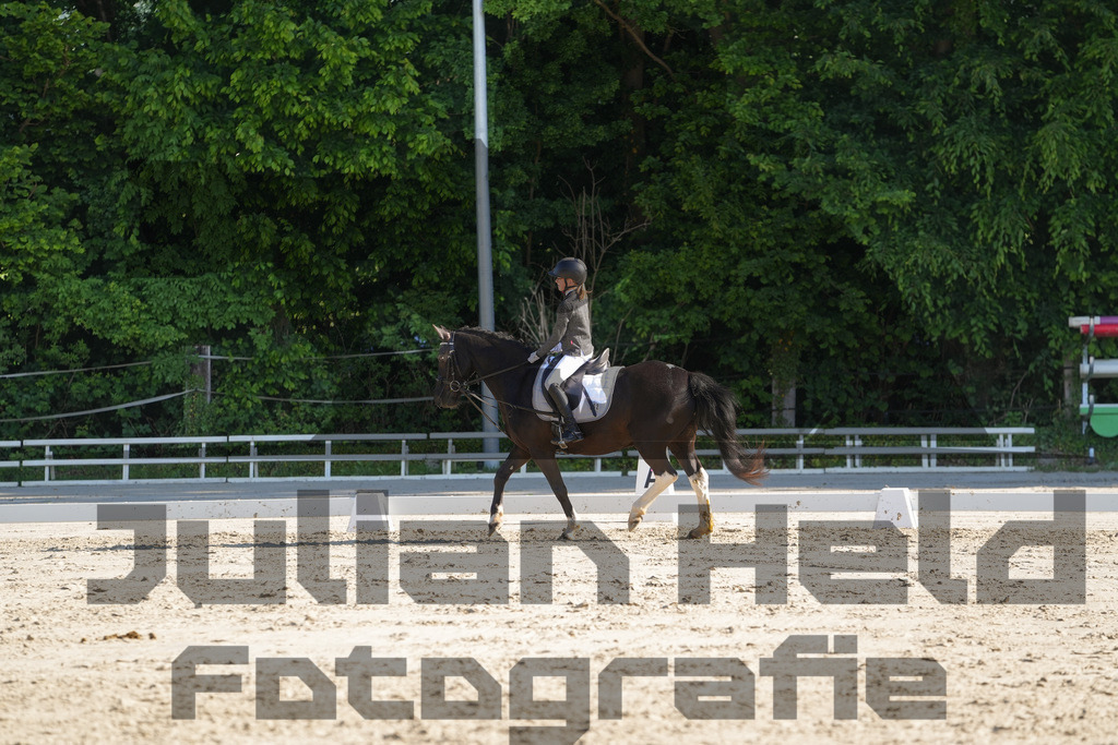 DSC02788 | Julian Held Fotografie - Realisiert mit Pictrs.com