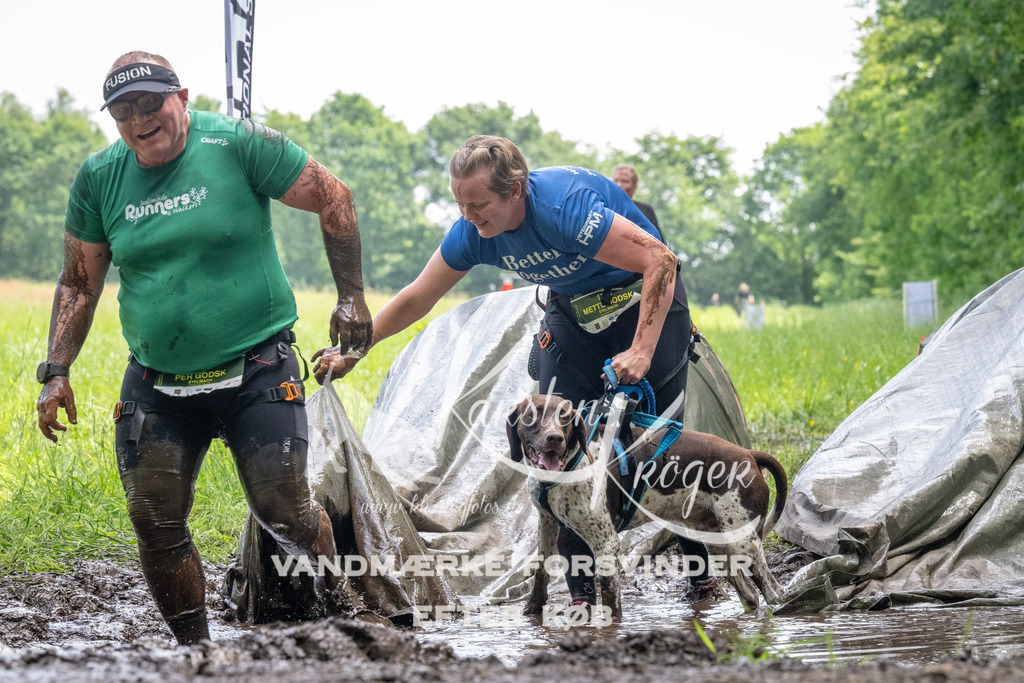 1138_ZZ93599 | kk-dogfotos