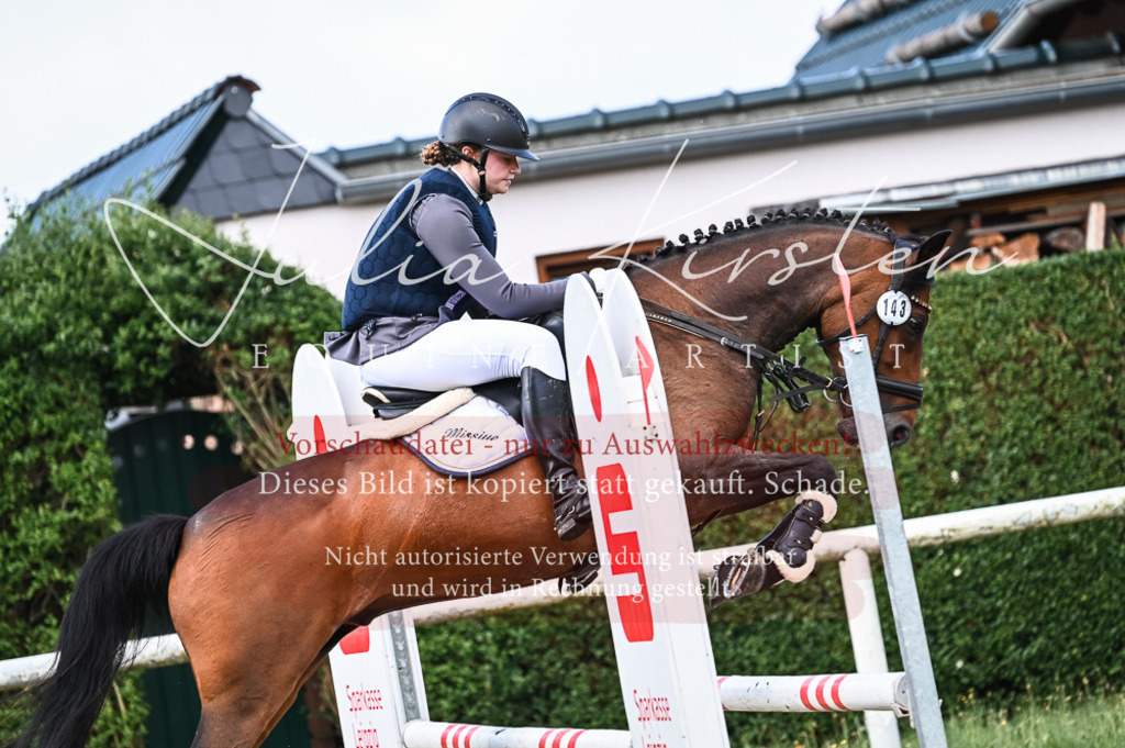 DSC_8021 | Pferde- und Turnierfotografie in Westsachsen. Pferdeportraits, Auftragszeichnungen und intuitive Kunst.