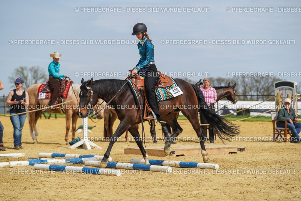 DSC04367 | Pferdegrafie