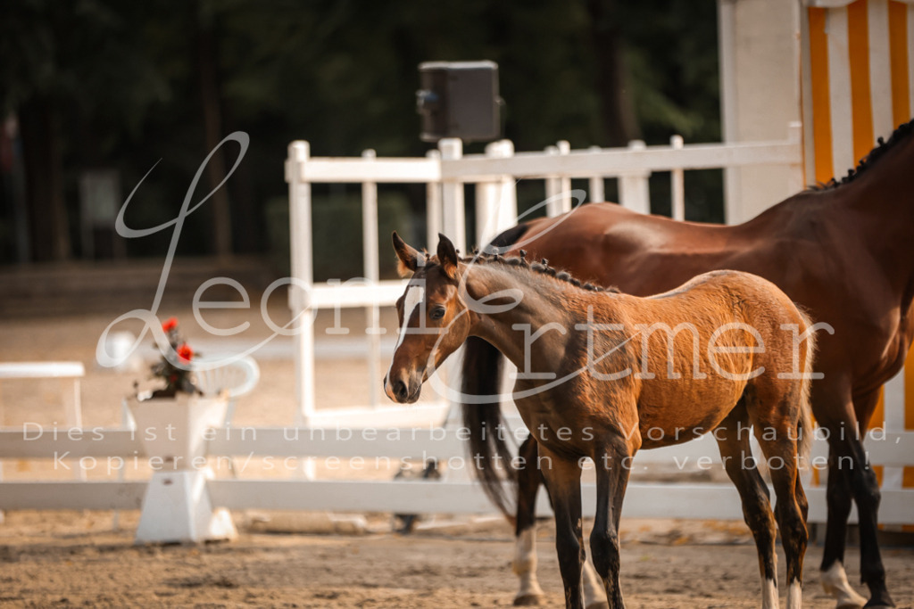 10.DoRP00087 | Leoni Ertmer Photography - Realisiert mit Pictrs.com