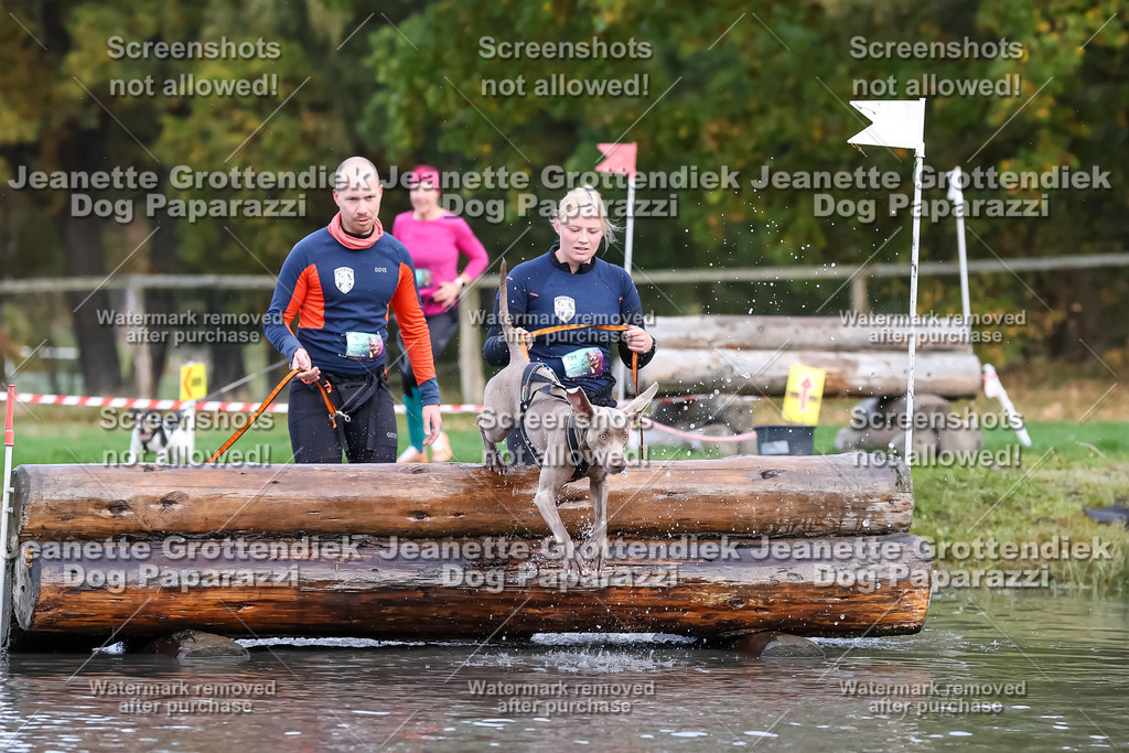 Dog Paparazzi - Strongdog 10-25-6785 | Dog Paparazzi Jeanette Grottendiek Fotografie & Videografie - Realisiert mit Pictrs.com