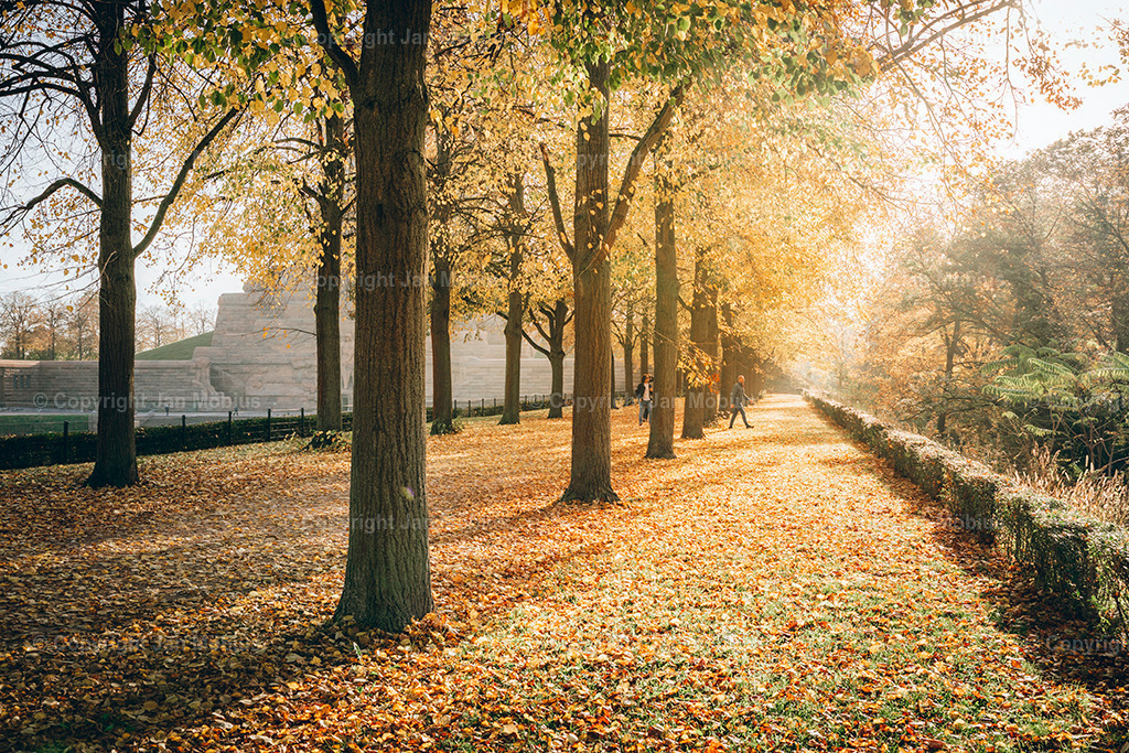 _DSC7997 | Leipzig Wandbilder Drucke Prints Leinwand Stadtmotive Leipzig Fotosdruck Kunstdrucke Bilder Leipzig Stadtansichten Acrylglasbilder Leipzig Wanddeko Fine Art Prints Wandbilder Büro Leipzig Bilder Praxis Zuhause Bilderdruck Poster Posterlounge Kunstdrucke - Realisiert mit Pictrs.com