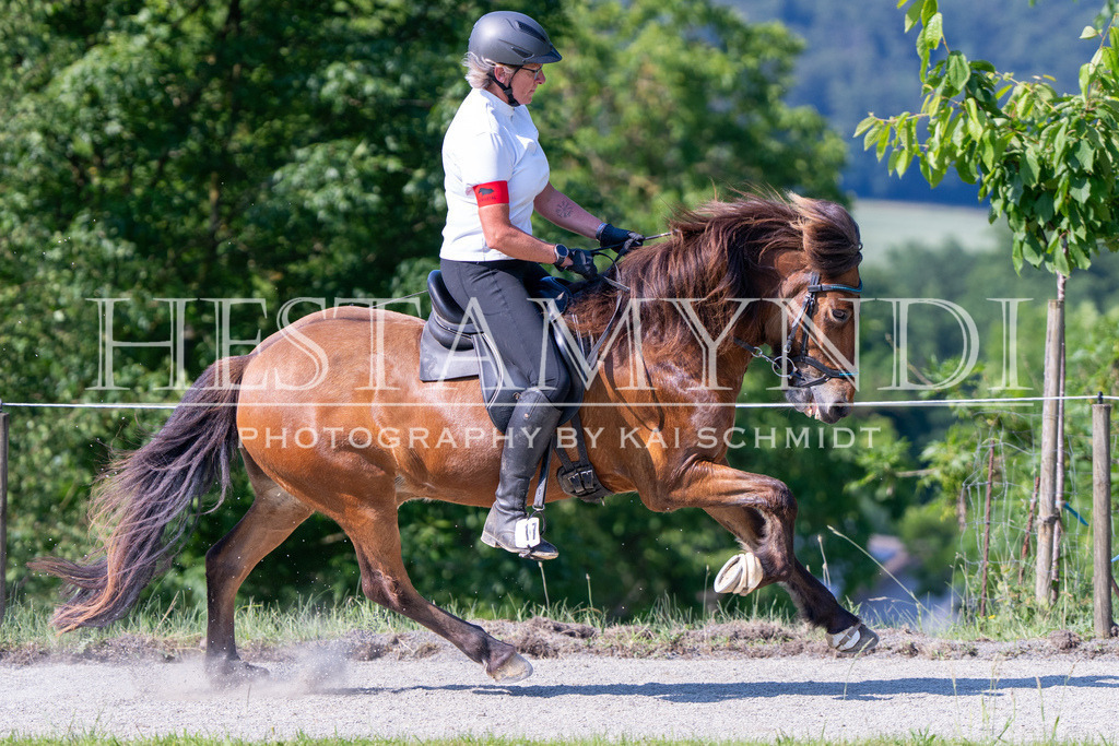 KAI06824 | Ihr sucht einen Fotografen für eure nächste OSI? Ich begleite auch euer Turnier für Islandpferde fotografisch.  - Realisiert mit Pictrs.com