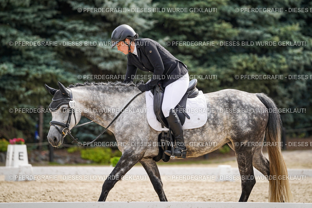 DSC07812 | Pferdegrafie