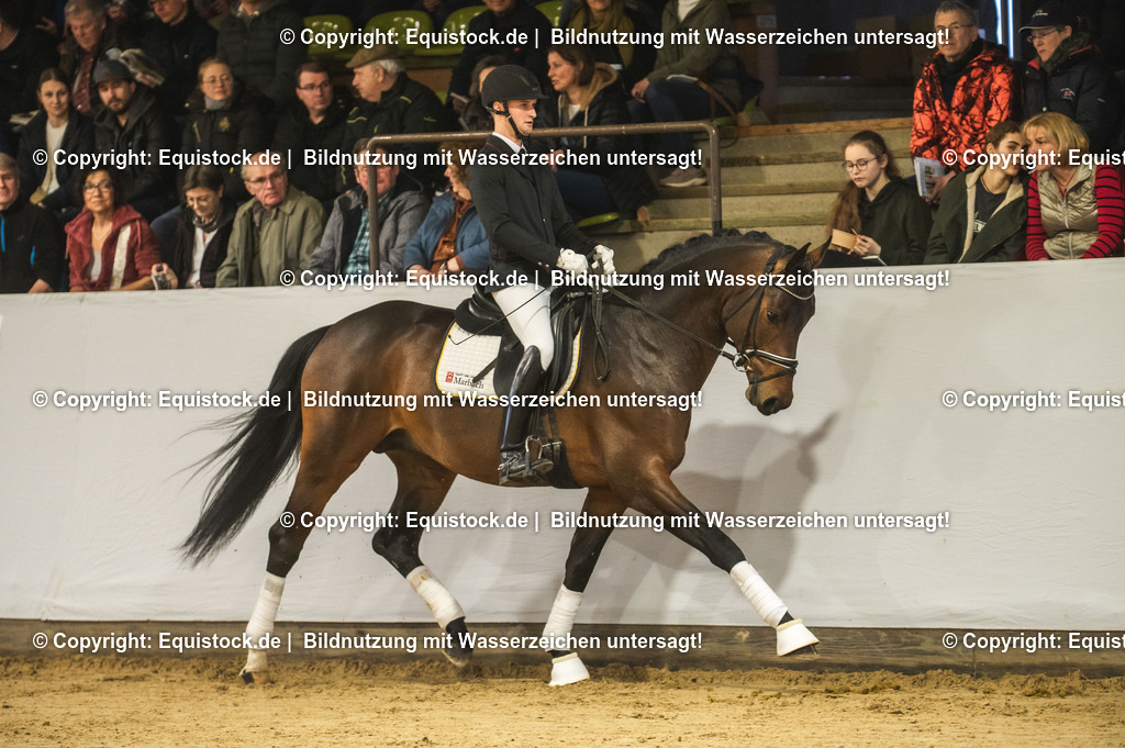 20240302_Hengstvorstellung_Marbach_TOMsPiC_0126-2 | equistock