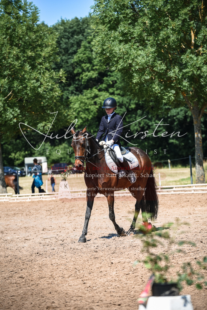 DSC_3336 | Pferde- und Turnierfotografie in Westsachsen. Pferdeportraits, Auftragszeichnungen und intuitive Kunst.