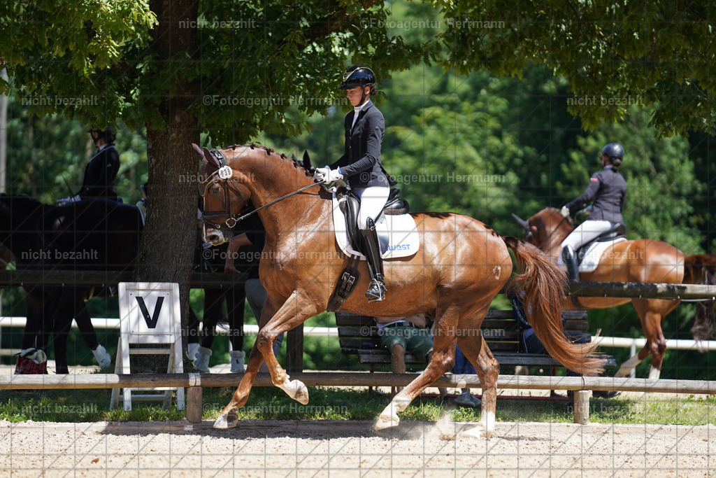 20240705-FAH03532 | Turnierbilder von Grafing, Reitsportbilder, Turnierfotos, Turnierfotografen Bayern, Pferdefotograf, Fotoagentur Herrmann