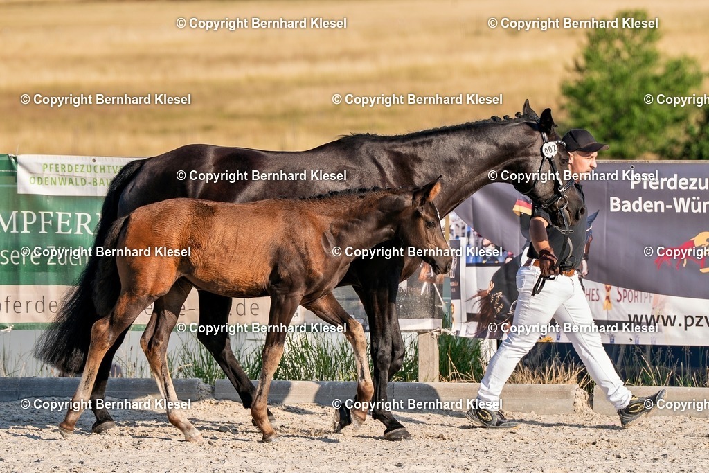 2A905545 | foto-team-bernhard - Realisiert mit Pictrs.com