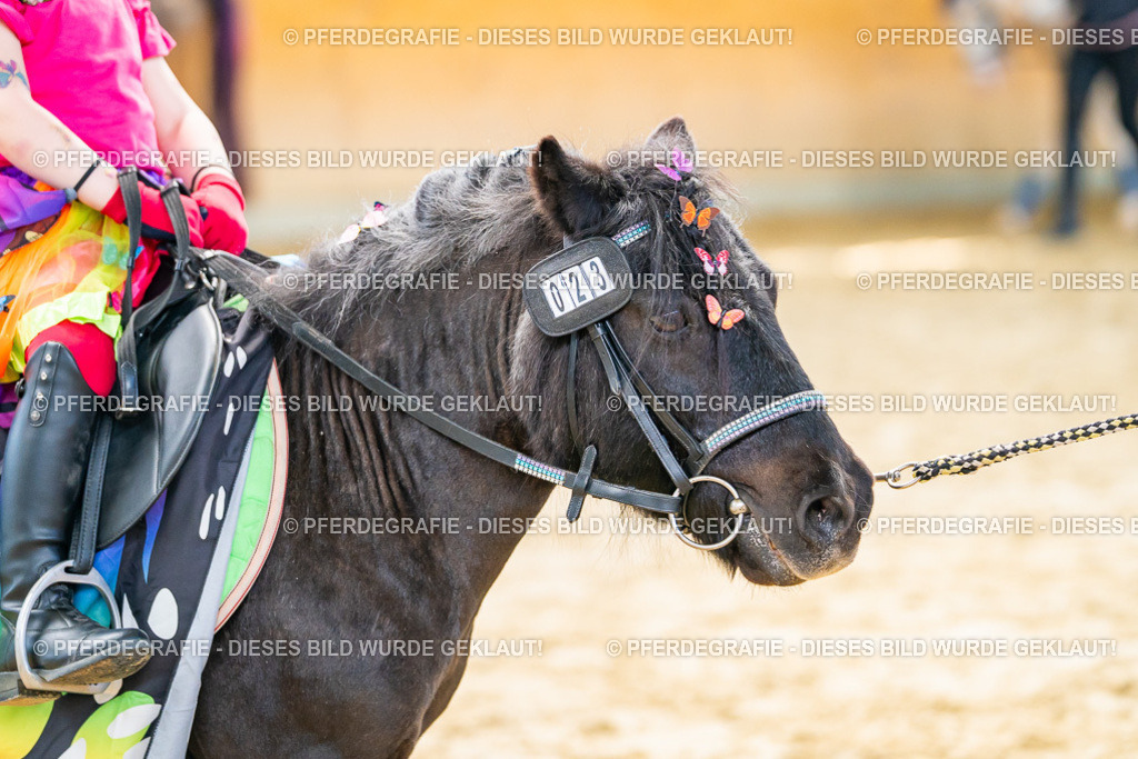 DSC00427 | Pferdegrafie