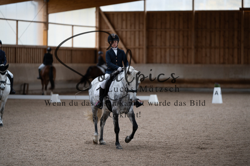 A7V02729 | Pferdefotograf