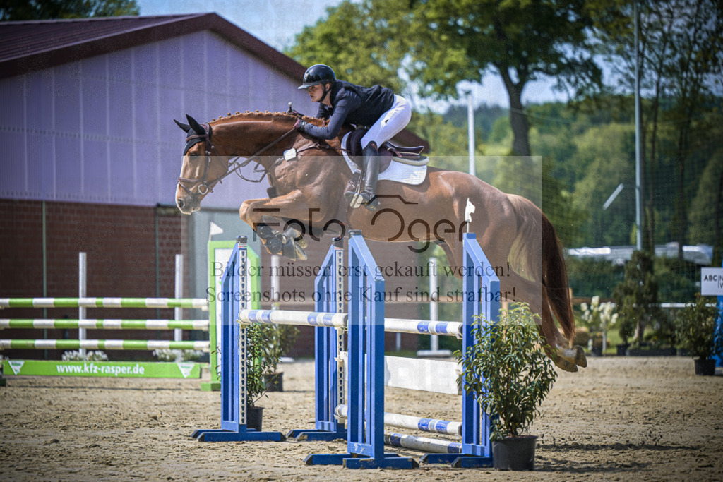 DOS_8535 | Entdecke hochwertige Reitturnierfotos von Foto Oger. Professionell, emotional und authentisch – jetzt Lieblingsmomente im Shop bestellen.Deutschlandweite Turnierfotografie. - Realisiert mit Pictrs.com