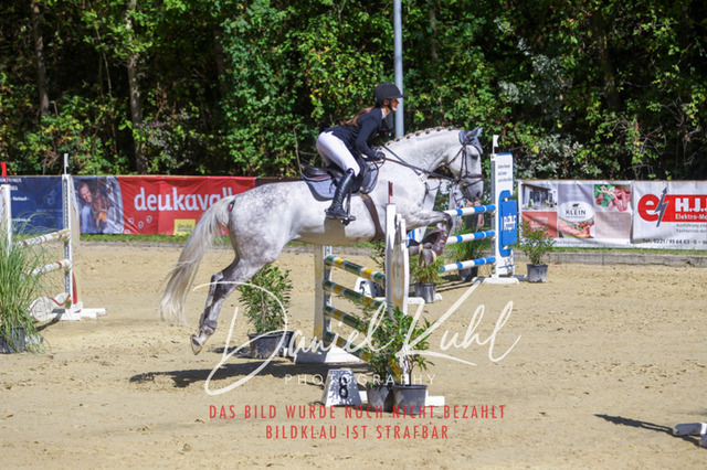 DKP43180 | Deine Turnierfotos vom Reitturnier online kaufen: Dressur, Springen & Siegerehrung. Professionelle Pferdefotografie aus dem Rheinland – als Download & Print.Alternative: Turnierfotograf für den Pferdesport: Finde deine Fotos von Dressur- und Springturnier