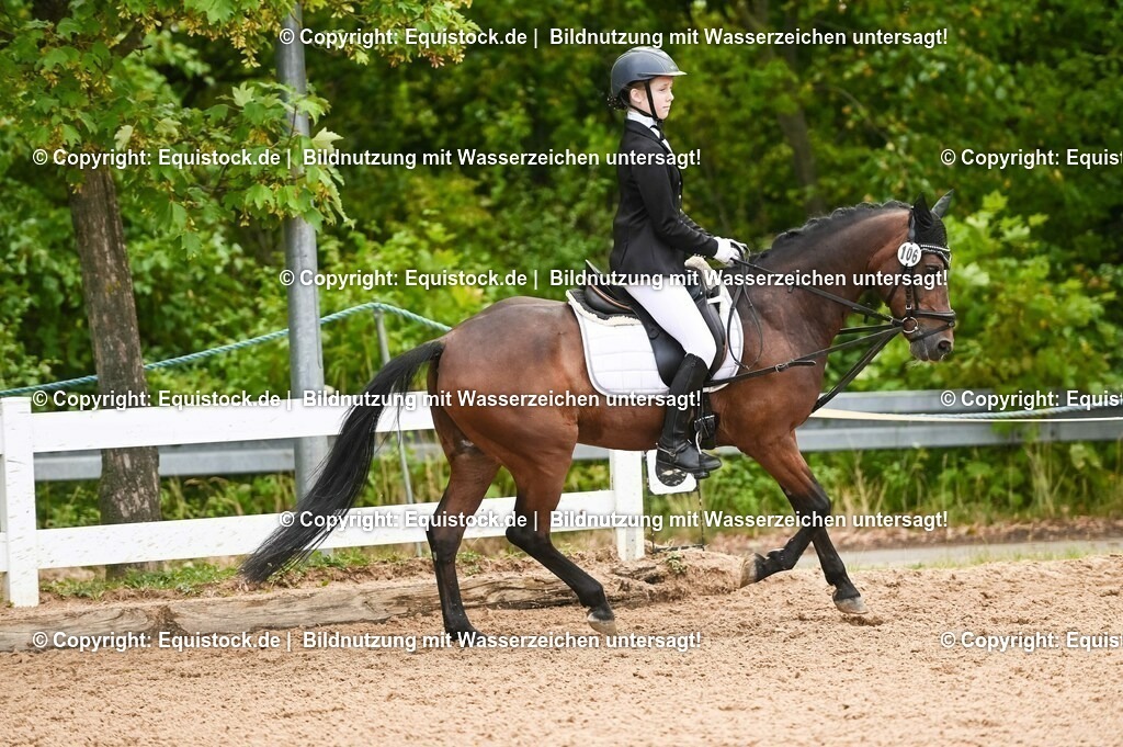 20230716_10-2_Reiter-WB Schritt - Trab - Galopp_0106 | equistock