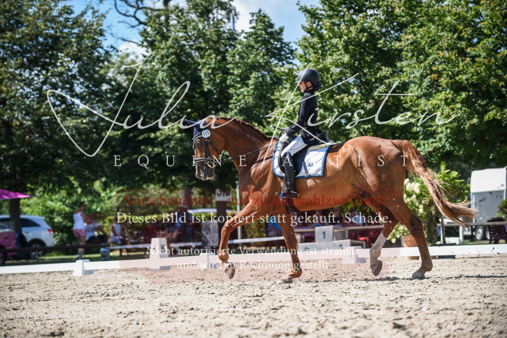 DSC_9517 | Pferde- und Turnierfotografie in Westsachsen. Pferdeportraits, Auftragszeichnungen und intuitive Kunst.
