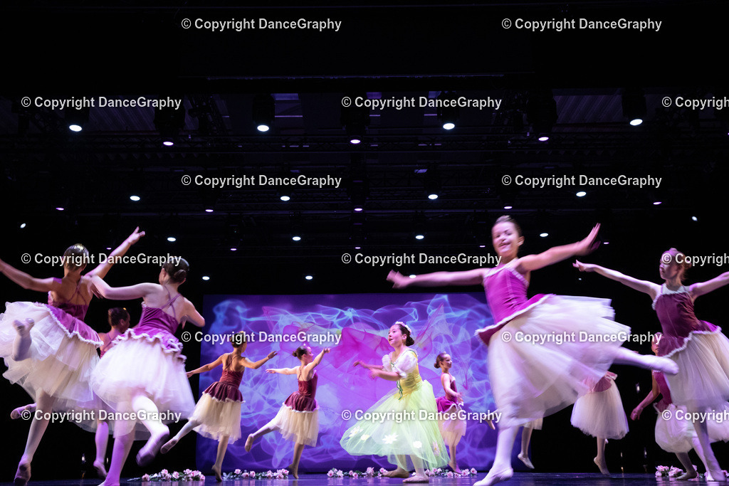 GPHY5994 | DanceGraphy - Realisiert mit Pictrs.com