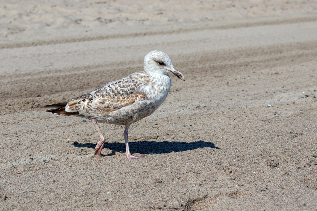 IMG_6268 | codoma - Realisiert mit Pictrs.com