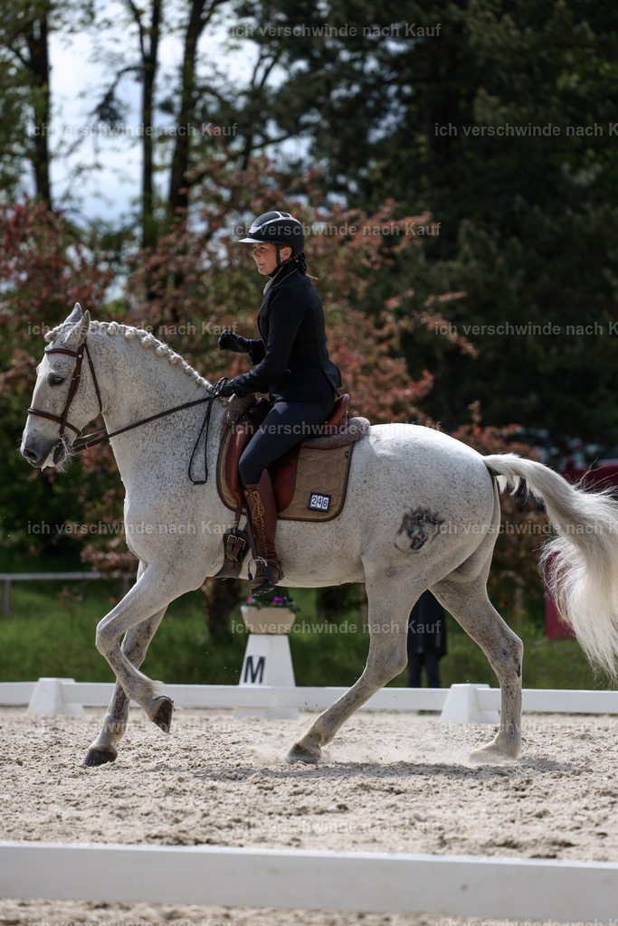 PI26_DR_246_Stoibphotography_C2_L7100A.jpg | working equitationturnier fotograf videograf stoibphotography marixx film working equitation deutschland reitsport turnierfotografie eventfotografie equestrian events