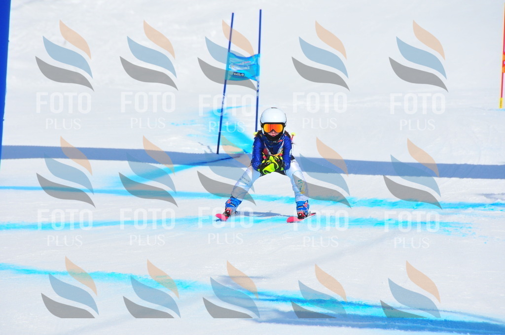 DSC_1289 | holidayphoto