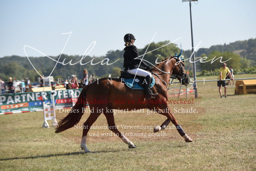 DSC_6062 | Pferde- und Turnierfotografie in Westsachsen. Pferdeportraits, Auftragszeichnungen und intuitive Kunst.