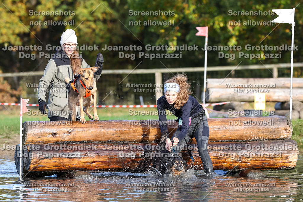 Dog Paparazzi - Strongdog 10-25-8412 | Dog Paparazzi Jeanette Grottendiek Fotografie & Videografie - Realisiert mit Pictrs.com