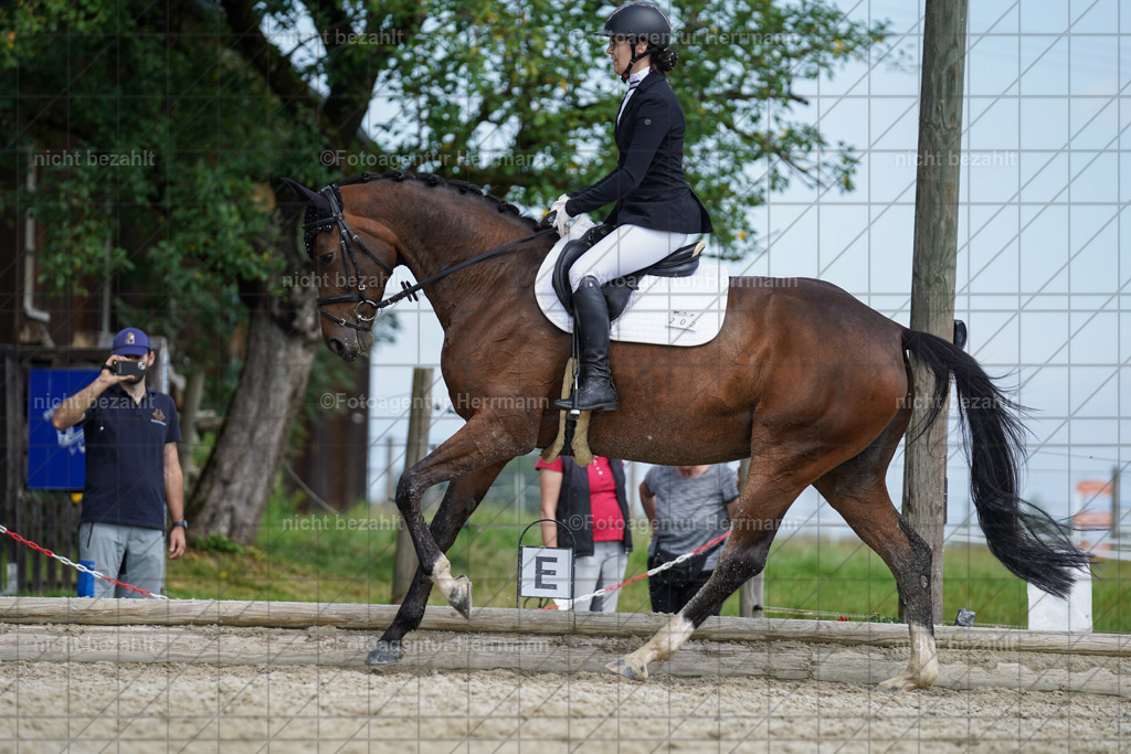 20230826-FAH05102 | Forstinning, 2023, Dressurturnier, Turniersportbilder, Turnierfotografen Bayern, Fotoagentur Herrmann, Reitsportfotografie, Turnierbilder