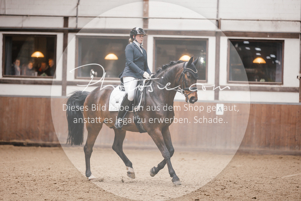 3I6A6666 | Stimmungsvolle Portraits und Reitsportfotografie im Ruhrgebiet und im Münsterland.

Pferdefotografie, Hundefotografie, Tierfotografie, Reportagen, Portraits von Tier und Mensch, Turnierfotografie in Bochum, Recklinghausen, Marl, Haltern am See, Dülmen.. - Realisiert mit Pictrs.com