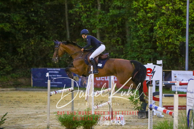 IMG_6273 | Turniersportfotografie; Pferdefotografie; Dressurfotografie