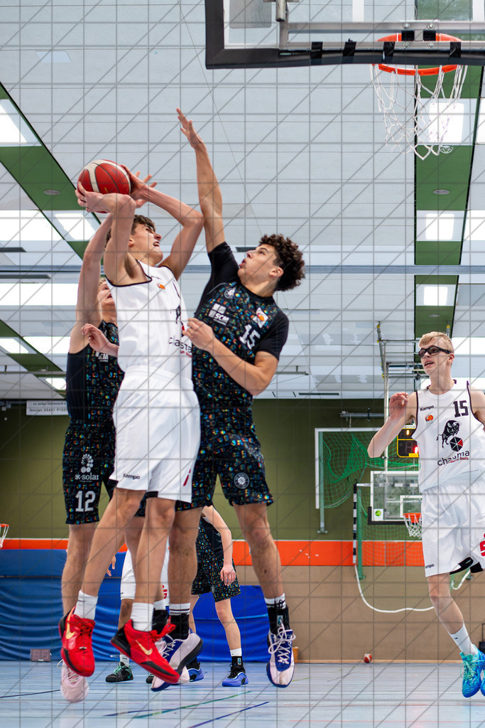 JBBL 24/25 | 23.11.2024 | Charisma Young Bulls vs. UBC Münster  | JBBL 24/25 | 23.11.2024 | Charisma Young Bulls vs. UBC Münster - - - - - CREDIT, www.bullenfotos.de, Martin König, Hörner Weg 40, D-49078 Osnabrück, +4917663732967, Nutzung und Weitergabe nur zu den vereinbarten Zwecken. Presseanfragen an Urheber. Alle Rechte beim Urheber. - - - - - - Realisiert mit Pictrs.com