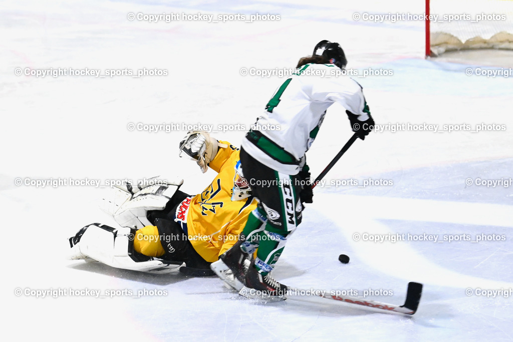 DSG Ledenitzen vs. ELV Zauchen 16.12.2022 | #94 Wrann Jakob, #25 Steiner Alois