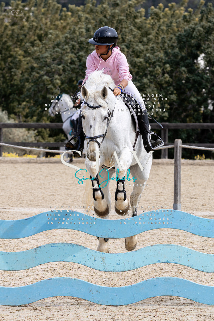 IMG_3519 | s-jay-photography - Realisiert mit Pictrs.com